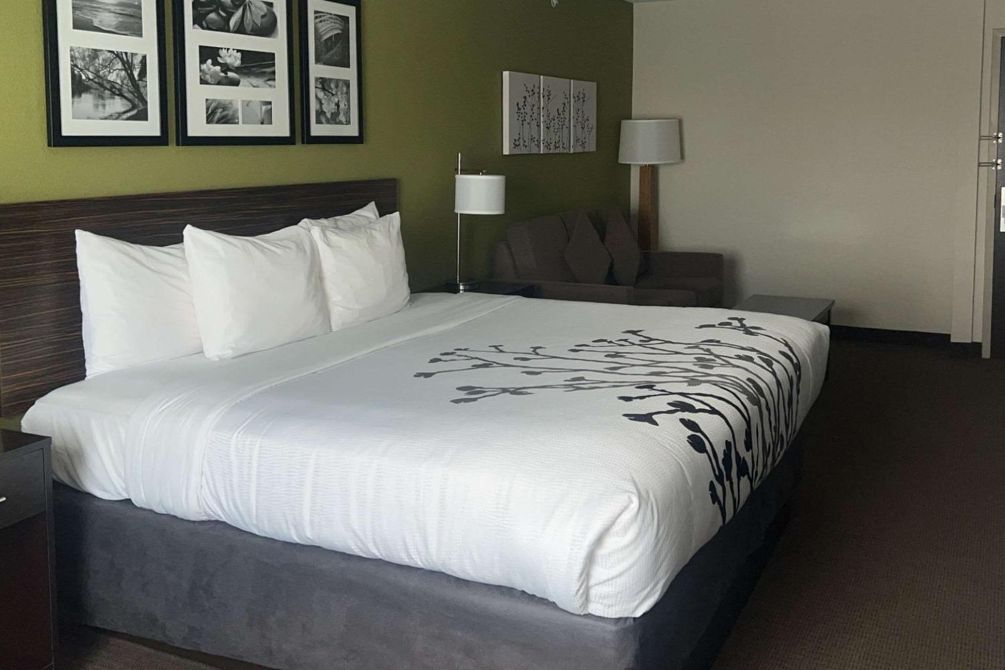 Sleep Inn & Suites Jourdanton - Pleasanton Екстер'єр фото